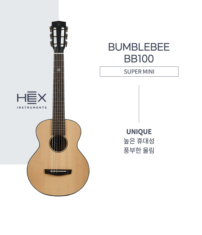 HEX INSTRUMENTS BB100S アコースティックギター BB100S M - HEX Guitars