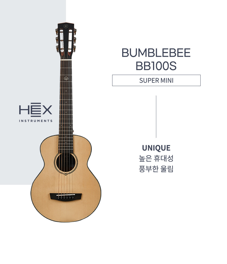 HEX INSTRUMENTS BB100S アコースティックギター Hex Bumblebee