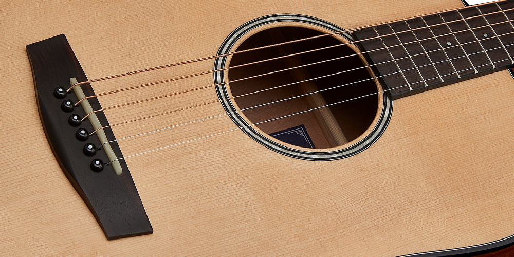 F100 M - HEX Guitars