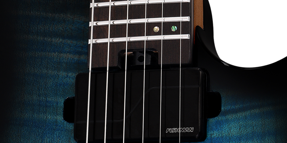 ギター HEX Guitars N700 black N700 G/TBB - HEX Guitars
